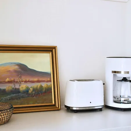 Apartment Palkinen Ii - 1950s Vintage With Parking & Courtyard & Wifi